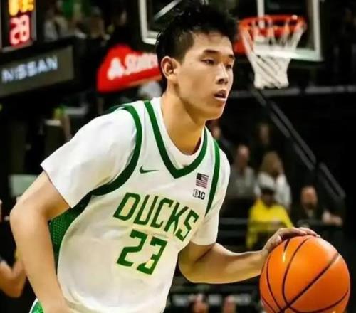 专家解读,东契奇遭批,球风过于个,千亿体育官网,千亿体育平台,千亿体育链接,千亿体育官方